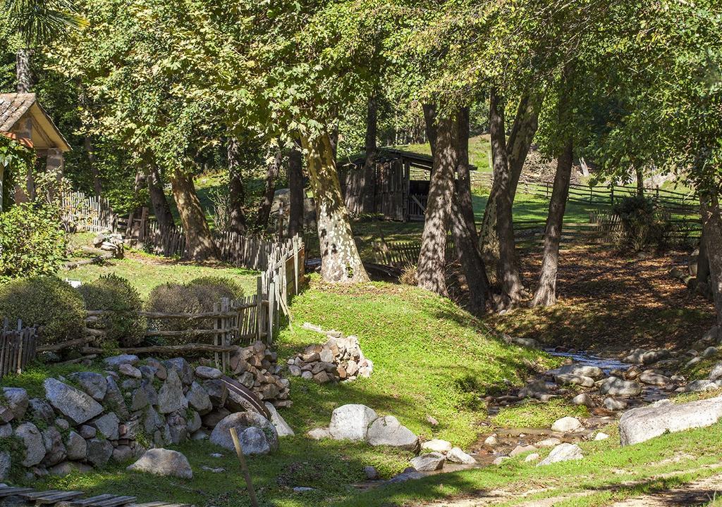 Masia El Moli De Can Aulet Arbúcies Exterior foto